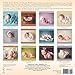 Sleeping Beauties: Newborns in Dreamland 2015 Wall (calendar)