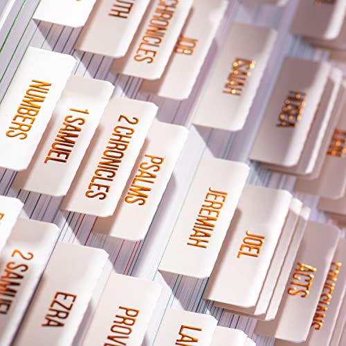 DiverseBee Laminated Bible Tabs (Large Print, Easy to Read), Bible Journaling Supplies, Bible