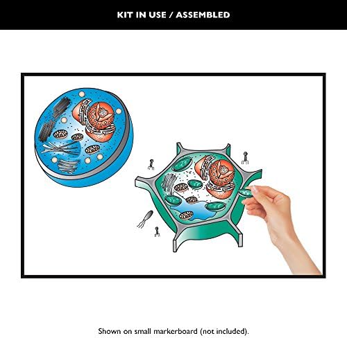 Speak Easies Cell Desk Kit
