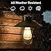 Outdoor Hanging Solar Lantern Light Solar Lamp with Warm White fliament Bulbs for Garden Yard Pathway (Copper)