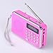 Mfine Portable Mini USB FM Radio Speaker Music Player TF Card For PC iPod Phone (938 Pink)