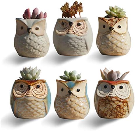 Owl Pots Mini Ceramic Succulent Pots Flowing Glaze Base Serial Set Succulent Plant Pot Flower Planter Holder Cactus Planter Pot with a Hole 2.5 Inches/6 PCS