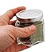 Gneiss Spice Magnetic Jars – Set of 24 Large Empty Glass Spice Jars (4 oz) with Magnetic Lids & Labels | Fridge-Mount Hanging Spice Rack | Refillable Kitchen Organizer