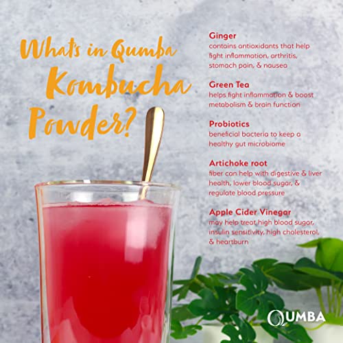 Qumba Kombucha Prebiotic and Probiotic Powder Supplement Digestive