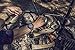 SUUNTO Traverse Alpha - Woodland