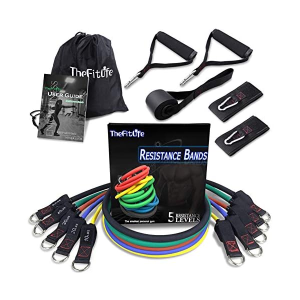TheFitLife Exercise Resistance Bands with Handles - 5 Fitness Workout Bands Stackable up to 110/150/200/250 lbs…