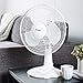 Hurricane 736549 Portable Desk Fan, 12-Inch, White