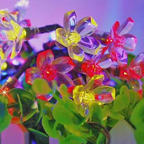 Solar String Lights - 21ft 50 Multi-color LED Blossom Fairy Lights from RAPID SPIRIT, Best Energy Saving Lighting for Indoor and Outdoor, Use in your home, Patio, Decking areas, for Wedding, Christmas and Garden Parties - Makes for a Great Gift.