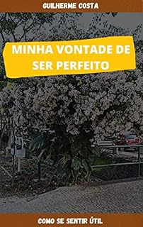 Livro Minha vontade de ser perfeito: Como se sentir útil