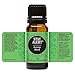 Edens Garden Stay Alert 10 ml Synergy Blend 100% Pure Undiluted Therapeutic Grade GC/MS Certified Essential Oil