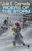Riders of the Storm (Stratification #2)