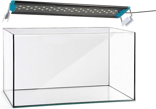 هتلداران مروارید آسیا