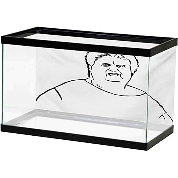 Scarica Gratis Images Amazon Com Bybyhome Terrarium Background Humor Chubby Guy Meme actualisé salutations