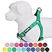 Blueberry Pet Essentials Step-in Dog Harness, Medium Size | Adjustable Emerald Vest | Classic Solid Nylon for Boy & Girl Dogs, Chest Girth 20