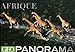 Geopanorama Afrique by 
