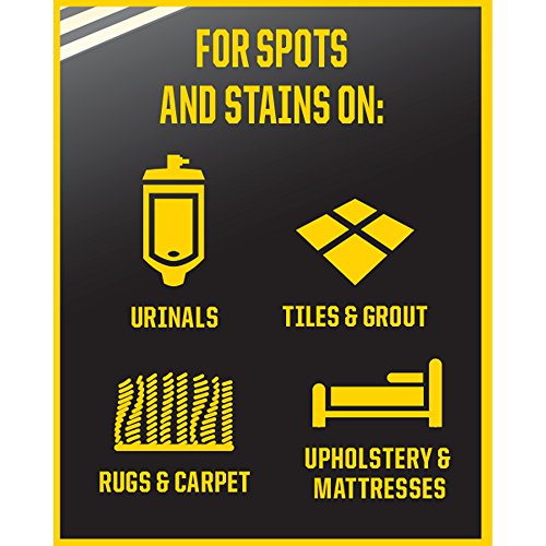 Clorox 31351EA Urine Remover, 1 gal Bottle, Clean Floral Scent