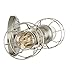 Trade Winds Lighting TW021849BN 2-Light Industrial Wall Mount Sconce in Brushed Nickel