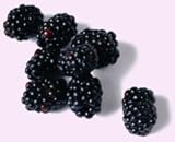 Faeries Finest Flavor Extract, Blackberry, 2 Ounce