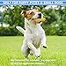 Dog Rope Toys Cute Animals Design, Cotton Puppy Toys for Small Dogs. Rope Dog Toy Set pack of 6