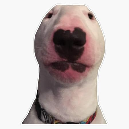 pet name tags walmart