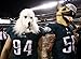 Fly Eagles Fly! The Philadelphia Eagles Official Super Bowl Commemorative Book