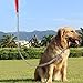 Pettom Dog Chain Leash Metal Dog Lead Training Steel Rope Heavy Duty Chew Proof Leash with Padded Handle for Medium Large Dogs (4' /2.0mm Small Chain)