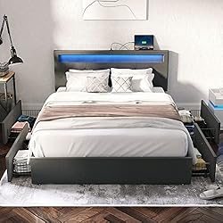 Rolanstar Queen Size Bed Frame with LED Lights and