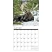 Moose 2018 Wall Calendar