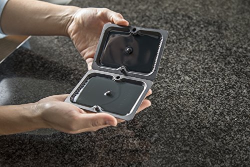 2 Tomcat+Mouse+Glue+Trap+Eugenol