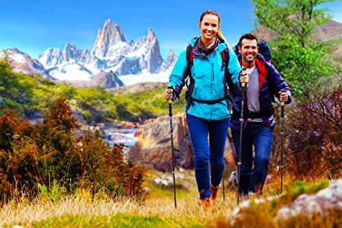 alpine summit trekking poles