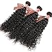Curly Wave Virgin Hair Brazilian Human Hair Extensions Curly Weave Unprocessed Real Hair 8A Grade 3 Bundles Natural Black (12