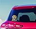 Enjoy It Dean Russo Golden Retriever Car Stickers, Outdoor Rated Vinyl Sticker Decals for Windows, Bumpers, Laptops or Crafts - 2 Pieces
