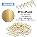 Glarks 100-Pieces 6 Size Brass Plated Lag Eyebolts Screw-in Eye Shape Screw Hooks Hanging Hooks Assortment Set