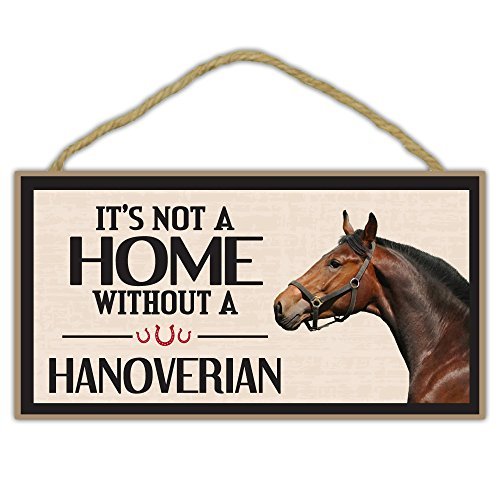 gifts for horse crazy girls