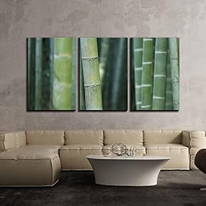3 Piece Canvas Wall Art - Zen Concept with Bamboos - Modern Home Art Stretched and Framed Ready to Hang - 16"x24"x3 Panels