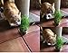 Easy Cat Grass Kit (3 Pack) Just Add Water. Includes Certified Organic Non GMO Wheatgrass Seed, Fiber Soil, Cups Chalkboard Labels. Your Pets Will Love This