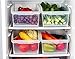 Honla Set of 2 Freezer Bins,Refrigerator Organizer Trays,Large Plastic Fridge Containers for Home Kitchen and Pantry Cabinet Storage Organization,13.4 by 7.2 by 4.8-Inch,Clear