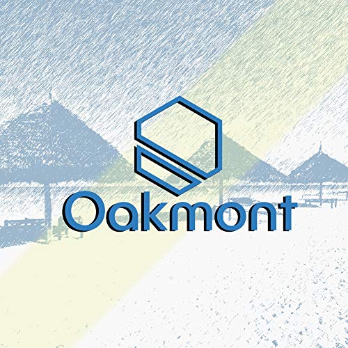 Oakmont Outdoor Patio Furniture Chaise Lounge Chair Adjustable Wicker Couch Bed Blue Thick Cushion