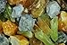 Fantasia Materials: 1 lb AAA Grade Assorted Calcite Rough Stones from Mexico