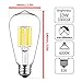GEZEE LED Edison Bulb, 10W(100 Watt Equivalent) Dimmable Filament Light Bulb, ST64 Daylight Color 6000K, E26 Medium Base (3 Pack), LED Vintage Style Filament Light Bulbs(Indoor or Outdoor)