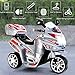 Costzon 3 Wheel Kids Ride On Motorcycle 6V Battery Powered Electric Toy Power Bicycle New Gray