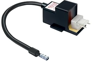 HPUY RTG20235C RTG2023BC Tankless Gas Water Heater Ignitor Coil Replacement Parts Compatible for Richmond, Ruud, Rheem - Fits More Models - Easy Installation, Durable