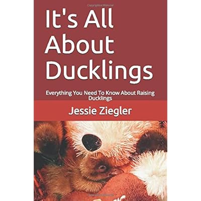 It's All About Ducklings: Everything You Need To Know About Raising Ducklings It's All About Ducklings: Everything You Need To Know About Raising Ducklings