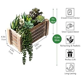 Artificial Succulents in Pots - Fake Succulent Plants, Artificial Plants for Home Decor Indoor, Faux Succulents for… 51xU06NCoTL