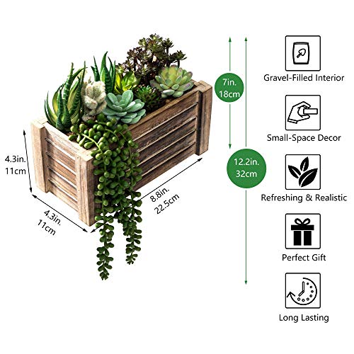 51xU06NCoTL 51xU06NCoTL