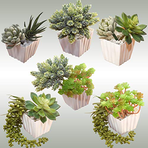 Bioexcel Fake Succulent Plants - Pack of 11 Artificial Succulents - Without Pots Faux Succulents for Indoor and Outdoor Home Decor - Thumbnail 5