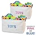 OrganizerLogic Canvas Storage Basket - Large Storage Bin with Handles - Decorative Storage Containers in Beige with Blue Lettering- 22