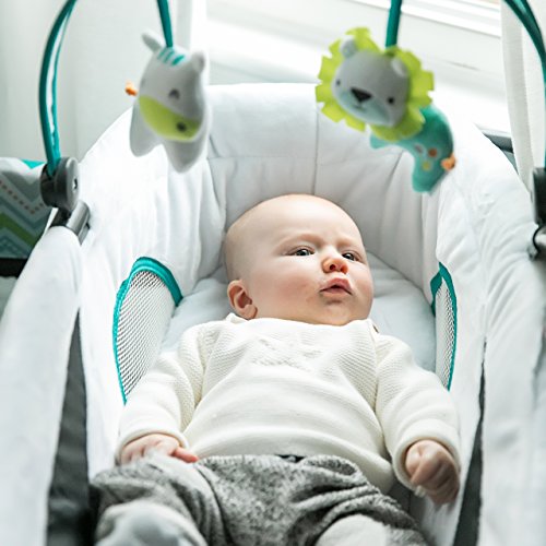 2 Ingenuity+Smart+Simple+Playard+Ridgedale