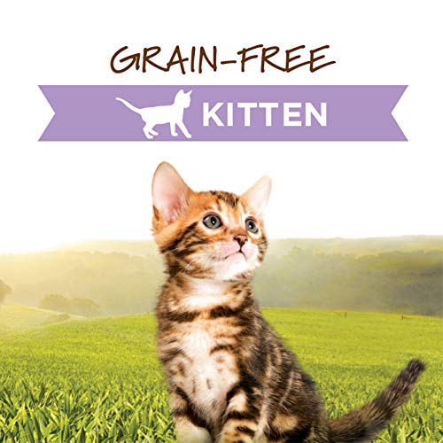 Instinct Original Kitten Grain Free Real Chicken Recipe Natural Wet Canned Cat Food by Nature's Vari - //medicalbooks.filipinodoctors.org