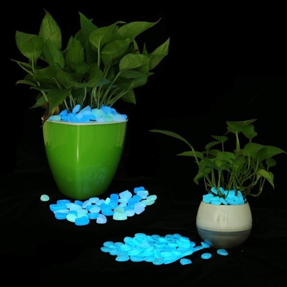 WenErJie Glow in The Dark Rocks, 200PCS Fairy Garden Decorations Stones, Outdoor Decor for Patio Stepping Stone Kit, Pebbles for Plants/Yard/Backyard/Fish Tank/Pool Stuff, Blue : Garden & Outdoor